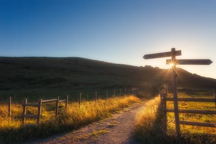 wooden signpost near a path and sunrays